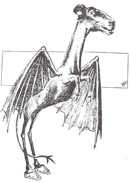 The Jersey Devil, as depicted during the 1909 sightings outbreak.