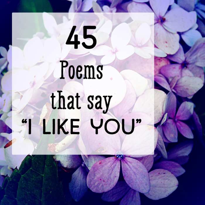 Forty-five poems that say 'I like you.'