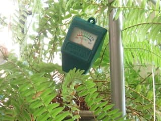 A plant moisture meter shows whether a pot's soil is dry (red), at a good level (green), or too wet (black).This fern probably needs watering now.