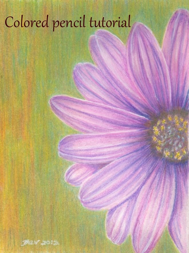 These colored pencil studies of flowers look just like paintings!