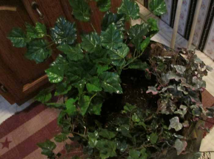 How to Make a Hanging Bird Nesting Basket in 5 Easy Steps Dengarden