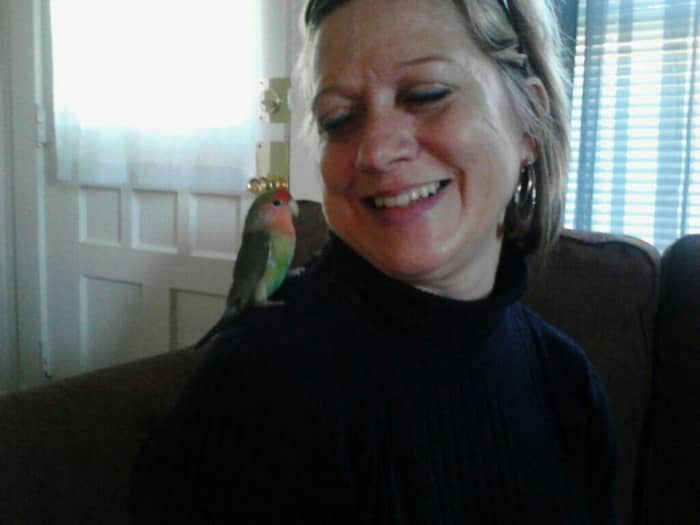 I have never been snuggled by a bird before, but Gregory is as snuggly as lovebirds tend to be...