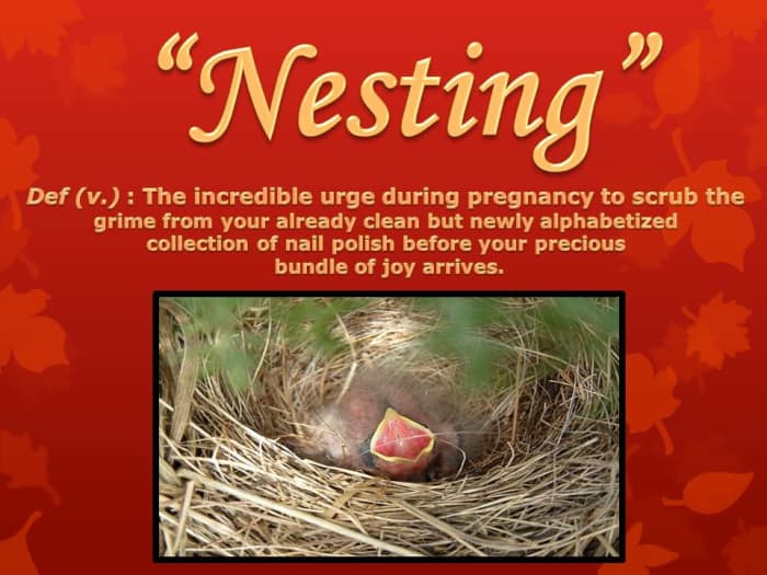 While not always irrational behavior, nesting is when a pregnant woman prepares her house, or 'nest' for the upcoming arrival of her baby.
