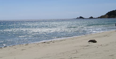 Remember the sensations of walking along the beach as you contemplate your coastal decorating project.
