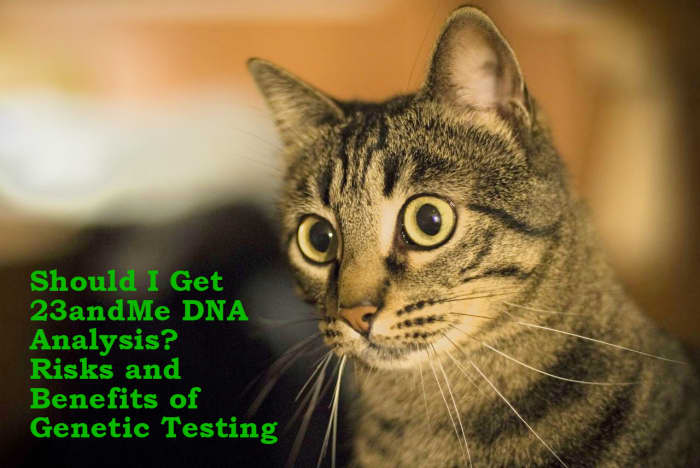 Consumers can now turn over their DNA to 23andMe to obtain information about their genealogy for a cost of $99. Are there potential costs they are overlooking?