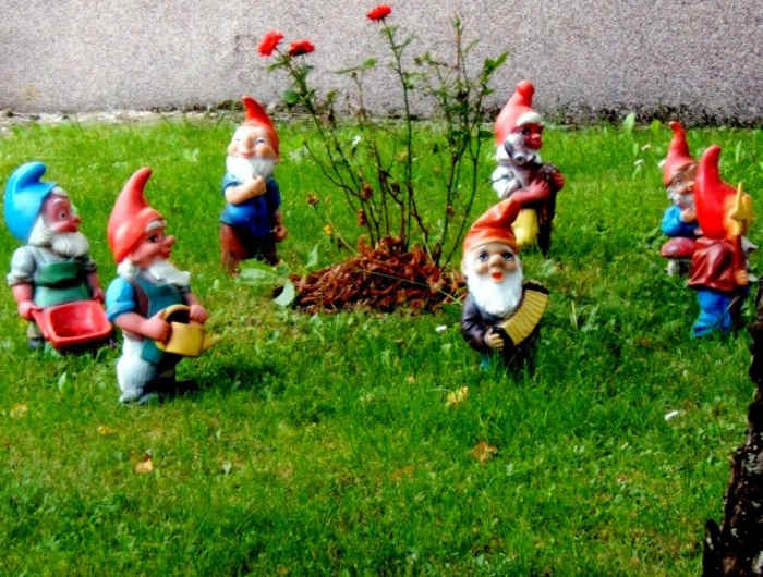 The History of the Garden Gnome Dengarden