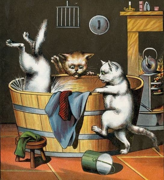 Choosing the right bath products and space may not make your cat love baths but it will help both of you cope.