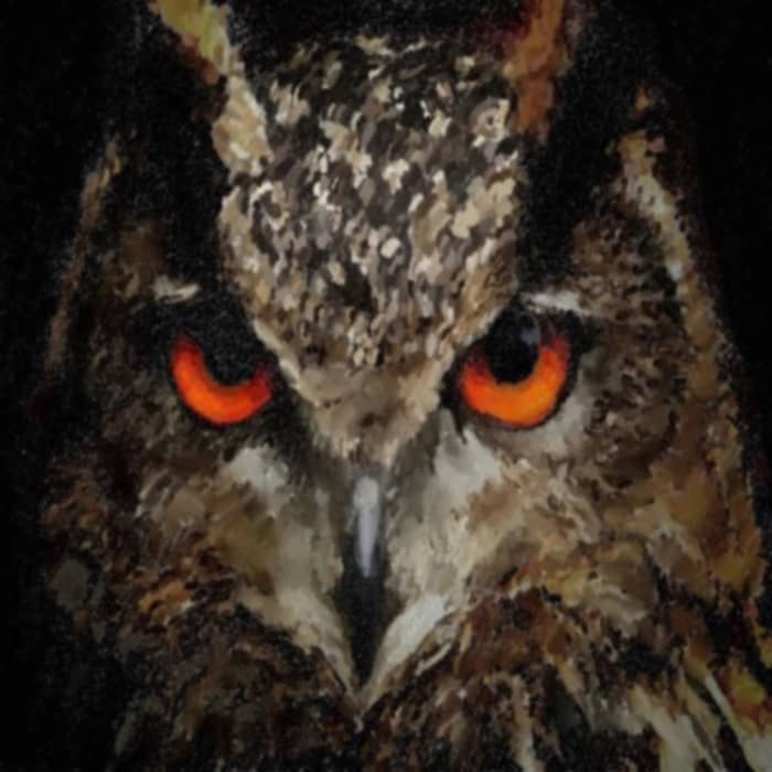 The Eurasian is characterized by a heavily speckled head and crown, prominent ear tufts and distinctive orange eyes,