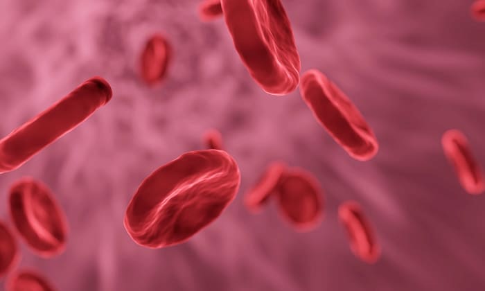 Red blood cells are the most common type of cell in our blood. They pick up oxygen from our lungs and carry it to our tissue cells.