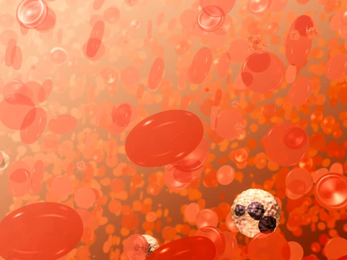 The concave disks are red blood cells. The white objects represent a type of white blood cell. The spiky items are activated platelets. Platelets are activated when we're wounded.