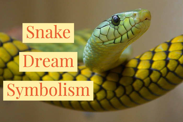 Snakes commonly symbolize fear or transformation.