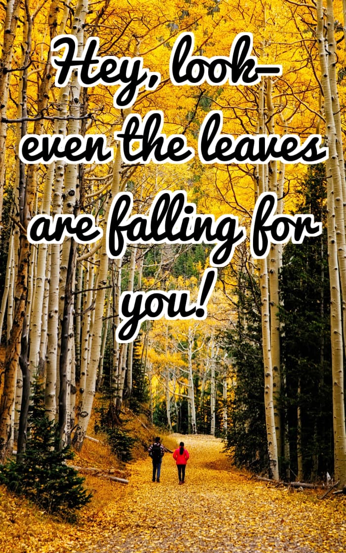You may have to wait for the right season to use this line, but there are nearly 100 other options to choose from here!