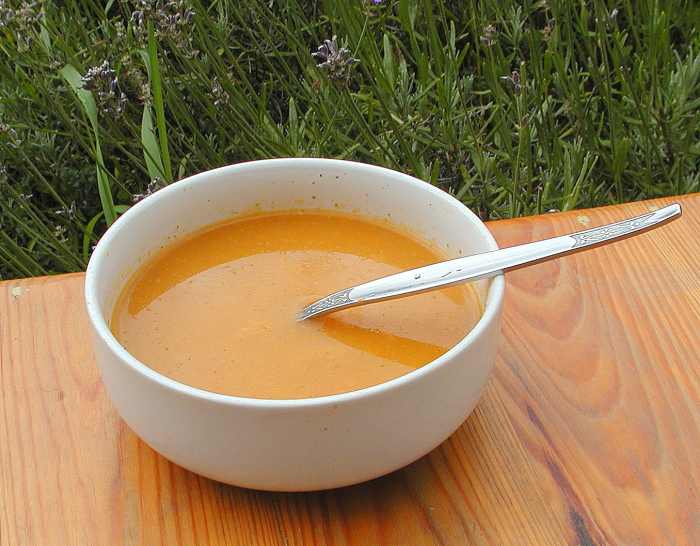Spicy Tomato, Carrot, Celery, and Apple Soup Recipe Delishably