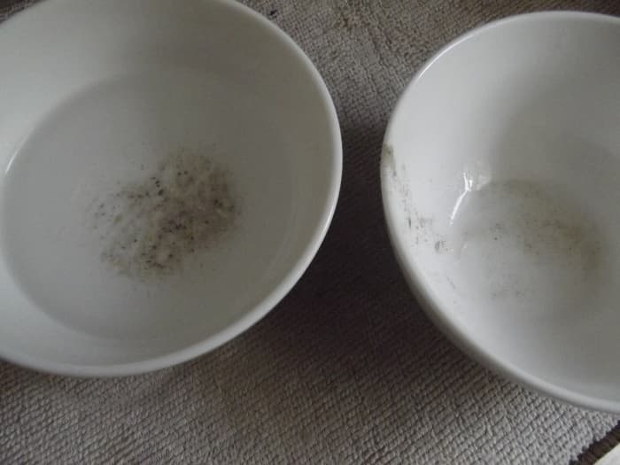 Grit and food particles left on bowls and glasses is a flashing sign that you have been neglecting your dishwasher.