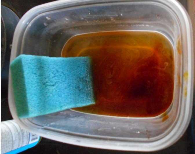 Using Betadine for Dog Wounds PetHelpful