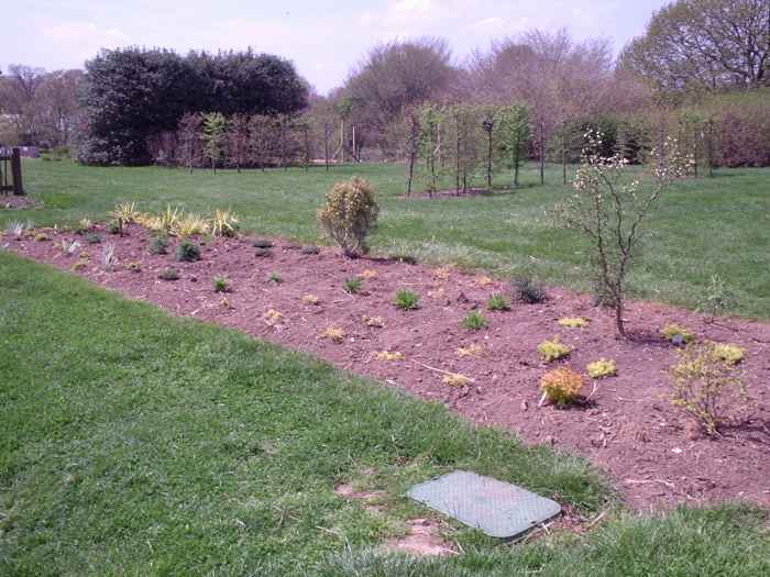 The Best Time to Plant Perennials (2022)