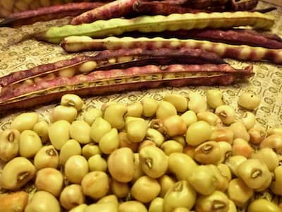 Called crowder peas because the peas look like they are all crowded together in the shell.