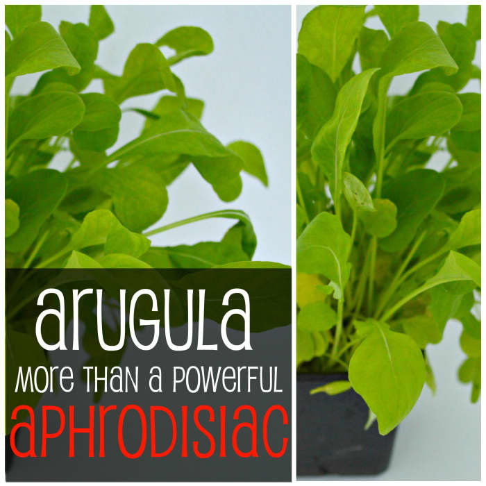 Arugula or salad rocket is revered as a libido enhancer throughout history, but that's not all! There's more to this peppery leaf, from cancer-fighting to bone health & more!