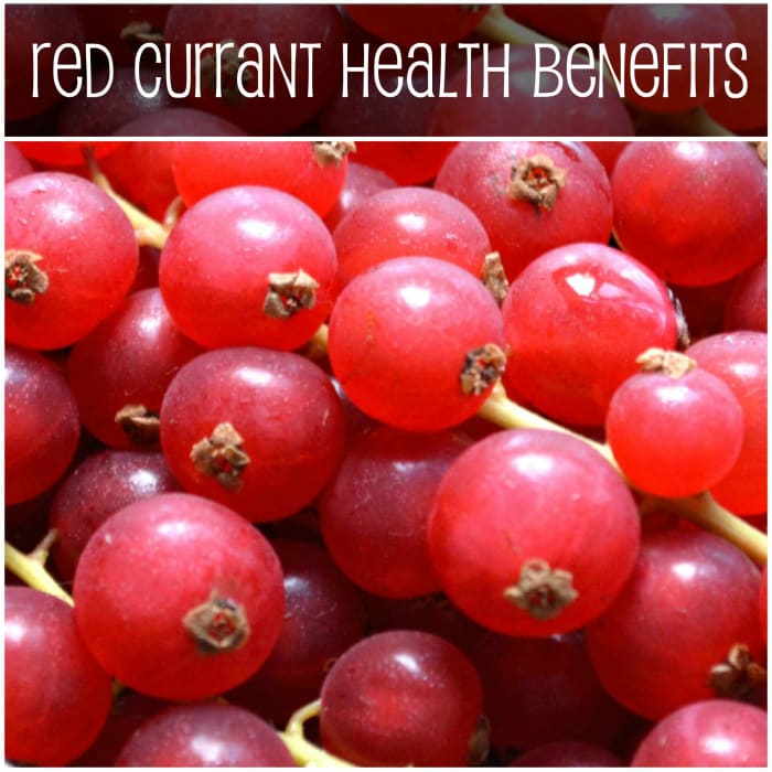 Red currants look absolutely gorgeous—their tiny, round fruit hangs in bunches like grapes, and they have an enticingly rich red tinge.