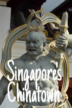 If you're looking for fun times and delicious food, consider visiting Singapore's Chinatown when you're there.
