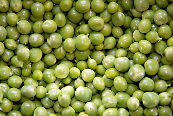 A tasty legume or vegetable