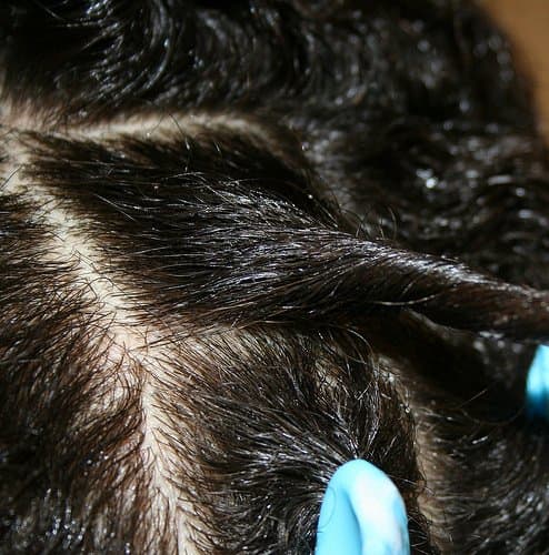 A healthy and vibrant head of hair can be achieved by establishing a hair health regimen with built-in flexibility.