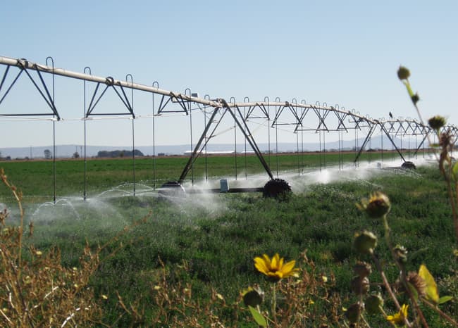 Farm pivot system. The most water efficient pivot systems are close to the ground, where water is sprayed directly on plants, rather than up higher, where it can blow off in the wind.