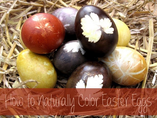 how-to-color-easter-eggs-naturally-with-common-household-items-holidappy