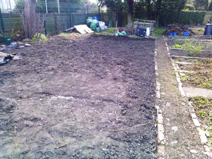How to Build Raised Beds and Keep a WeedFree, LowMaintenance Allotment or Vegetable Plot