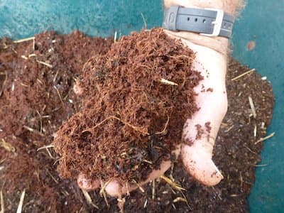 Choose coir or peat moss. Coir made from coconut shells is a readily renewable resource. Many growers prefer it over peat moss.