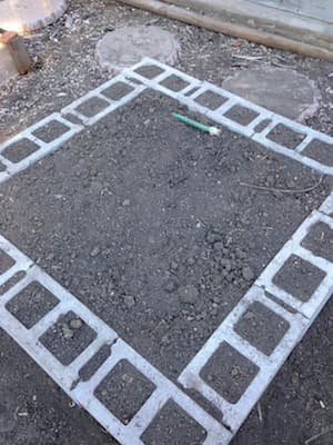 Plant an herb and leafy greens border in the small squares in the blocks. Take advantage of the small, squares for marigolds, calendula, nasturtiums.
