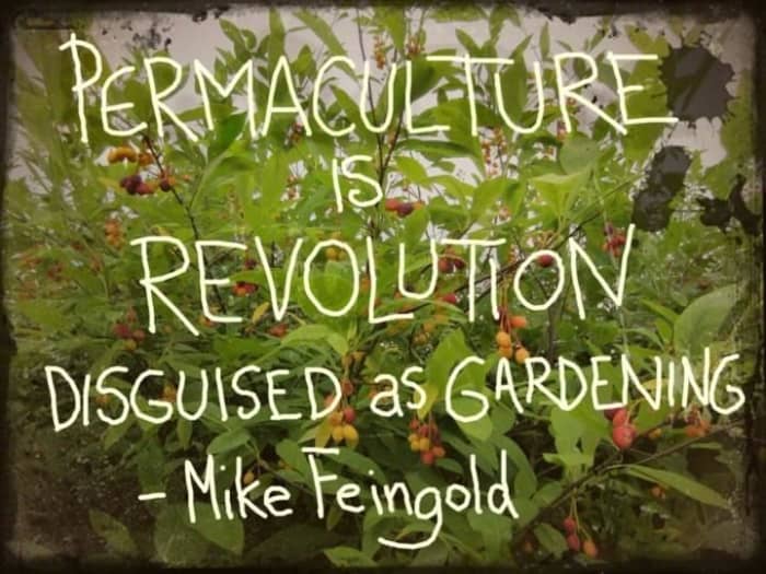 Permaculture is revolution disguised as gardening. Here you will learn about the basics of permaculture.