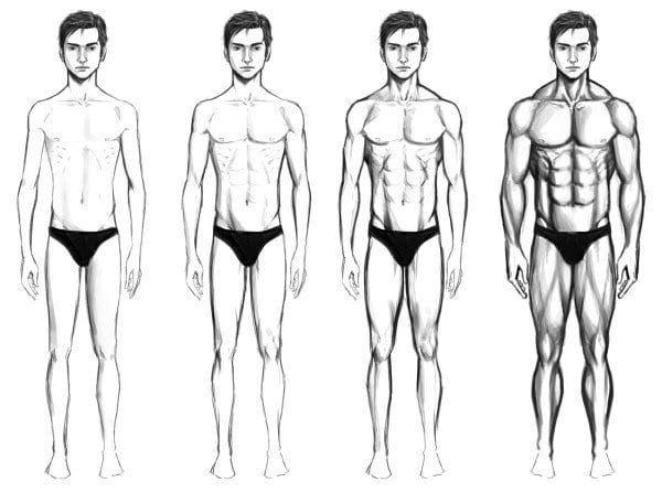 Ectomorphs are long and lean. Despite working out, they may have a hard time getting their body from looking like the first drawing, to looking like the last.