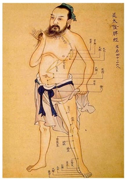 Ancient illustration showing how certain points on the body can access internal organs through meridian points.