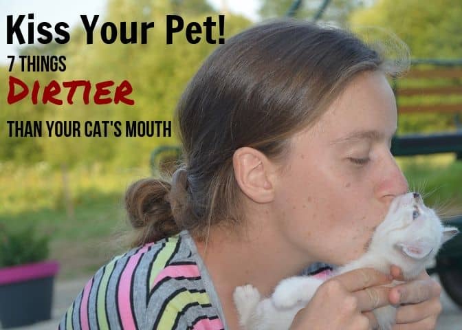 Kiss your kitty cat! It involves fewer germs than you're probably already getting in your kitchen, at the mall, or by handling that cell phone you take with you into the bathroom.