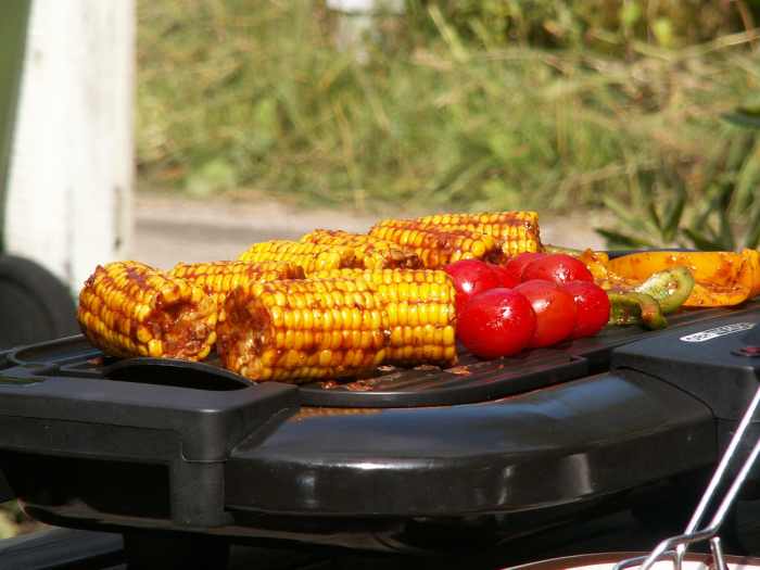 What's the Best Outdoor Electric BBQ Grill for Taste? 4 Reviews