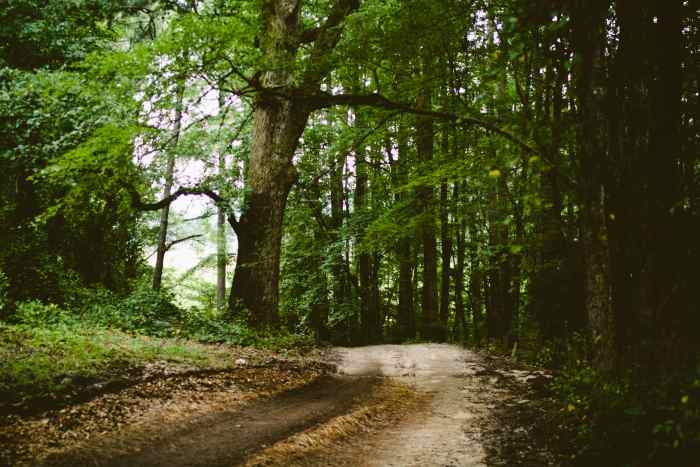 Ecological Imbalance: Its Causes and Effects in the Biosphere - Owlcation