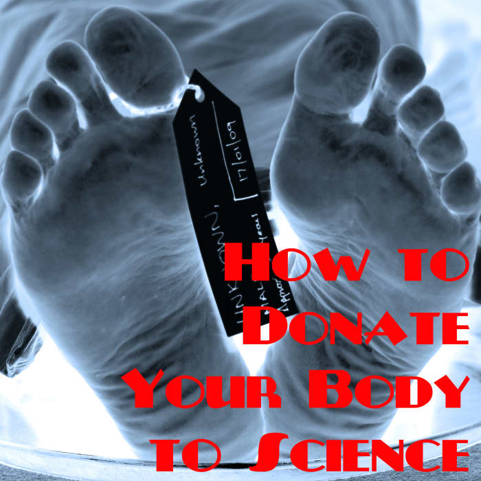 After you no longer have use for your body, medical schools, tissue banks, and others can use your cadaver to teach and improve the lives of the living.