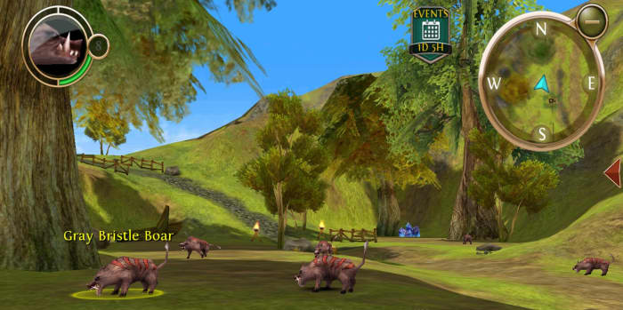Boars that drop poor fur in Order and Chaos
