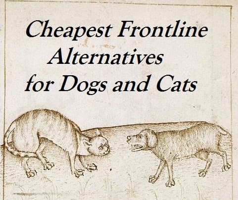 Read on to discover the cheapest flea treatment alternatives to Frontline Topical Flea Medication, including numerous natural flea treatment alternatives and sarolaner and Bravetco.