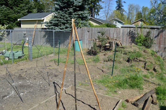 How To Build A Bamboo Garden Trellis Frugally Dengarden