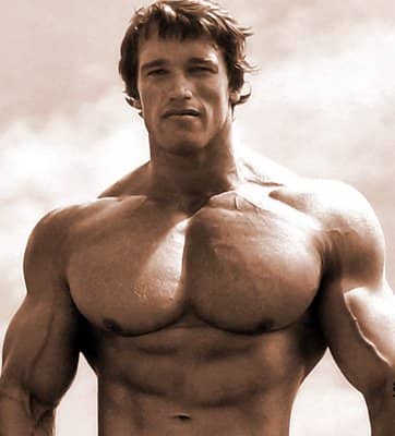 Why can't you gain muscle?