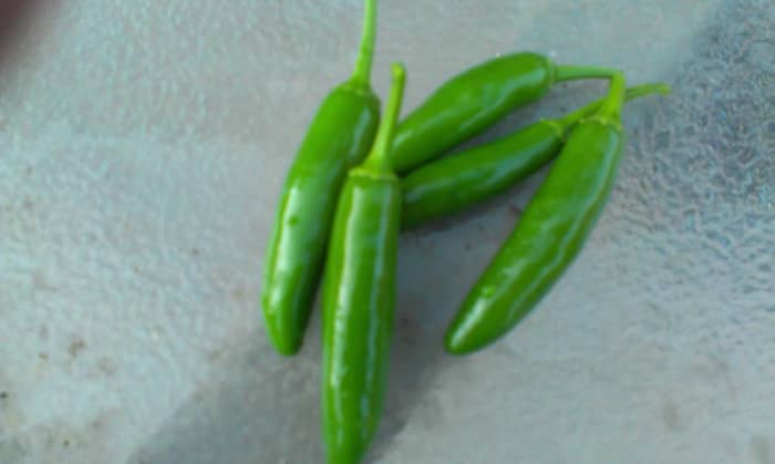 Serrano Peppers