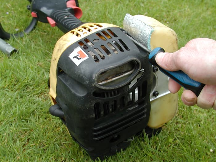Remove the cowling.