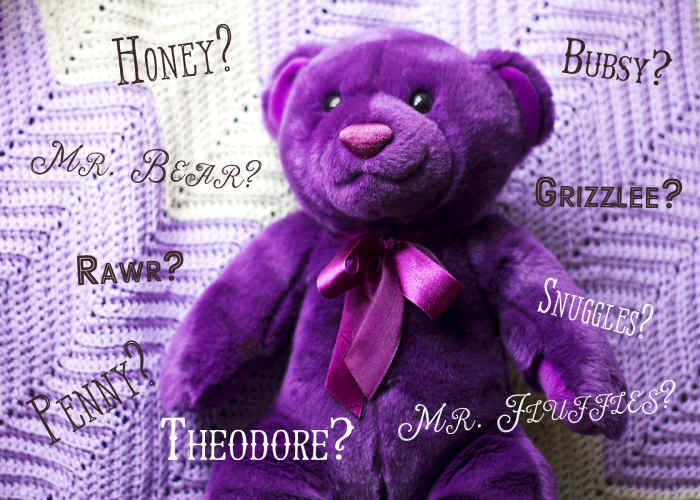 What should you name your teddy bear?
