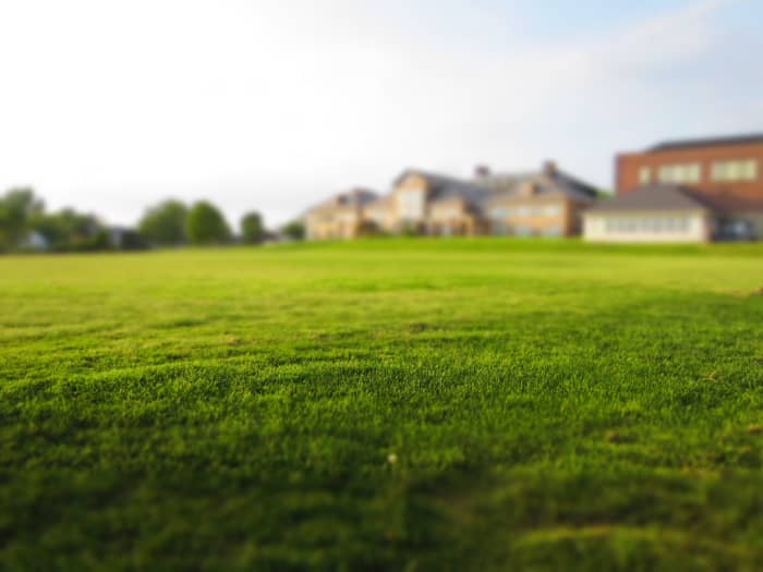 Since trimming often serves as the main component of lawn care work, getting yourself a superior trimmer like the Echo SRM-225 can make all the difference in the ease and quality of your work.