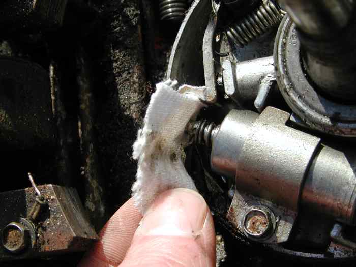 Finally, remove any residue or oil with a piece of cloth.