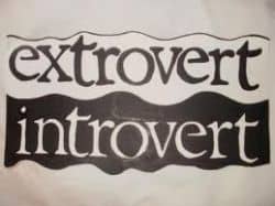 Are You an Introvert or an Extrovert? - HubPages