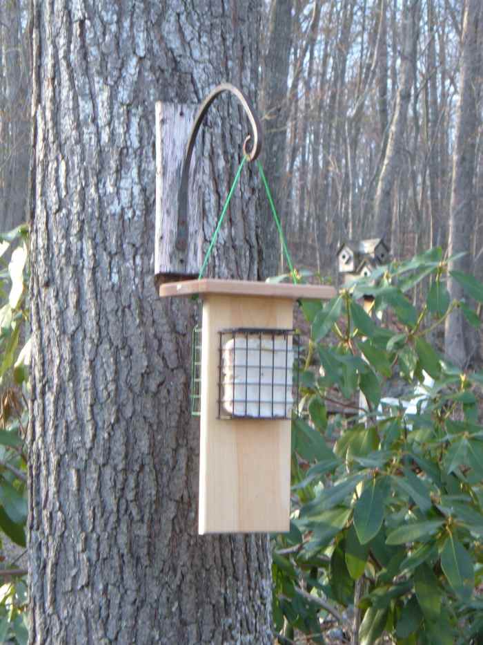 How to Store Bird Seed Dengarden