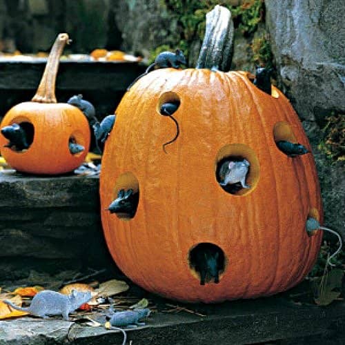 Want to decorate your outdoor spaces for Halloween? Find lots of ideas here, including this mouse-filled pumpkin!